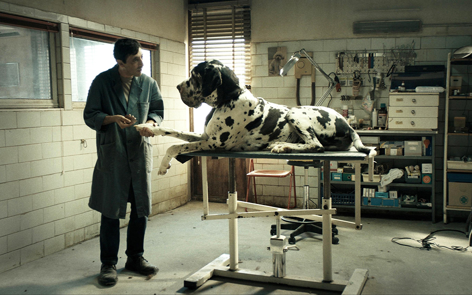 φεστιβάλ-κινηματογράφου-θεσσαλονίκη-2282360