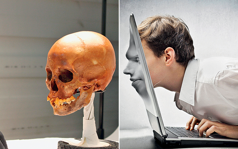 οι-μύκητες-και-ο-πλανήτης-κρόνος-στο-φε-2282603