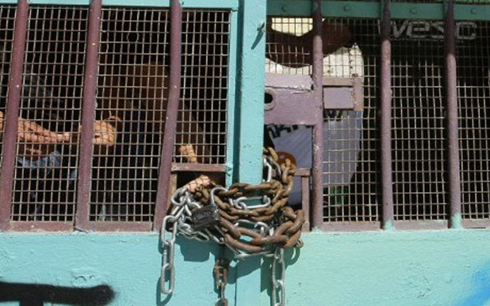 κατάληψη-στο-καλλιτεχνικό-σχολείο-θε-2286051