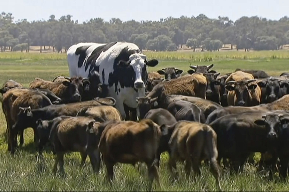 φωτογραφήματα-2286186