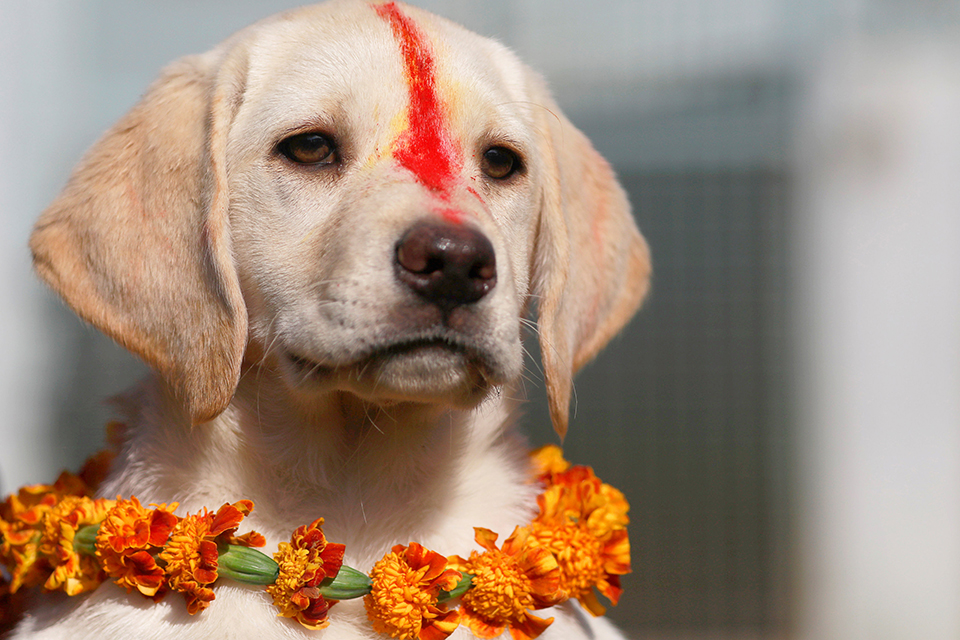 φωτογραφήματα-2282237