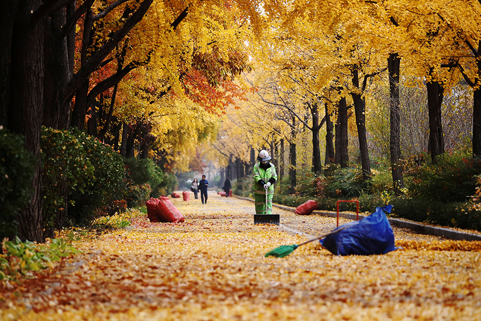 φωτογραφήματα-2282444