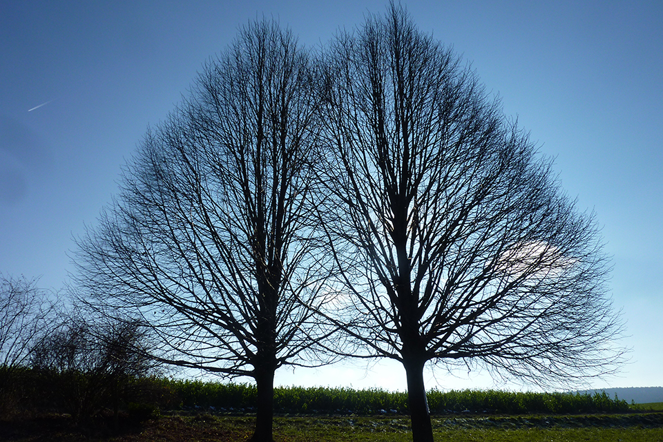φωτογραφήματα-2283497