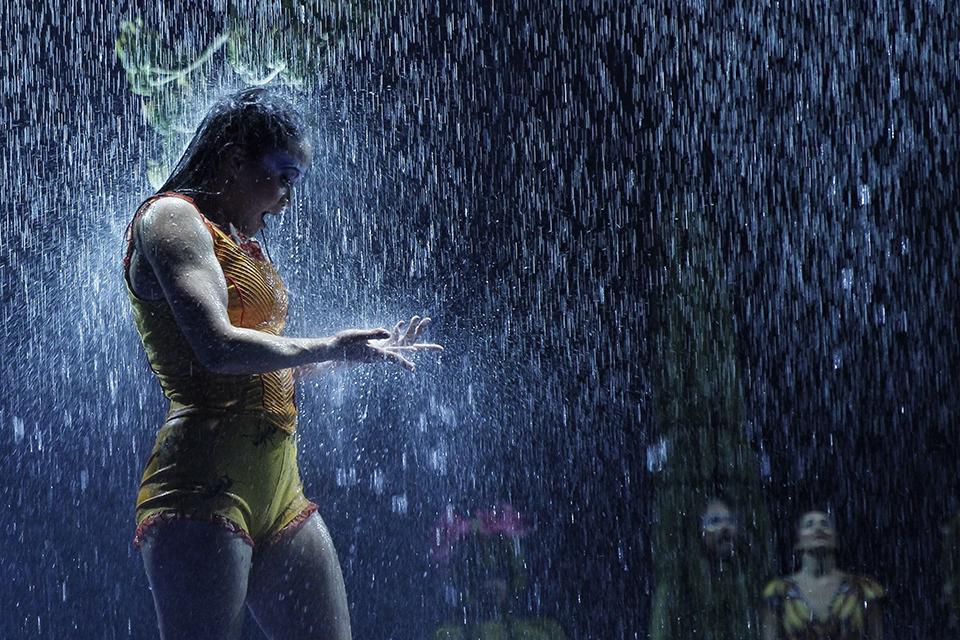 φωτογραφήματα-2282695