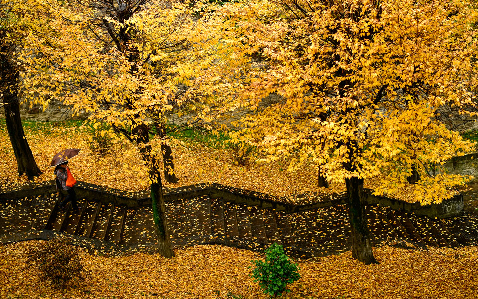 παμπλόνα-ισπανία-2286148