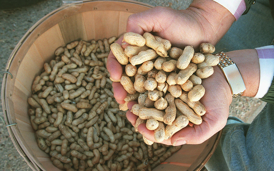 ιάσιμη-τελικά-είναι-η-αλλεργία-στα-φισ-2284661