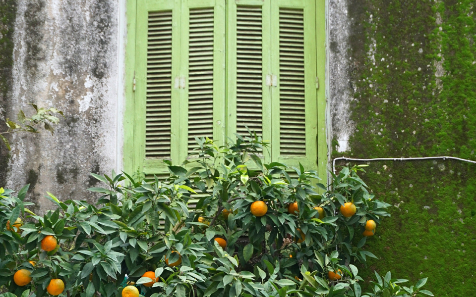 το-σπίτι-με-τα-βρύα-αιγέως-και-περγάμου-2286318