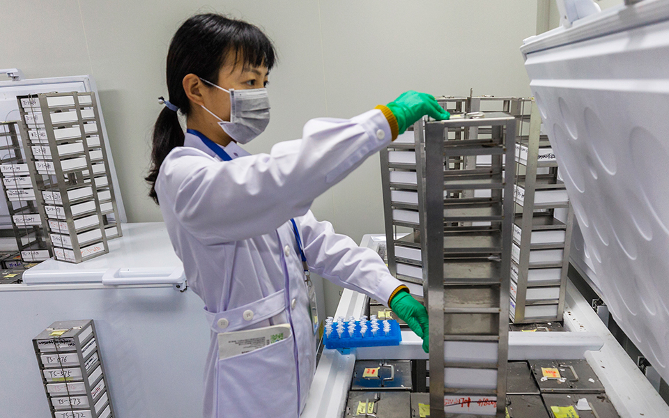 επιστήμονες-κατασκεύασαν-ανθρώπινο-2286552