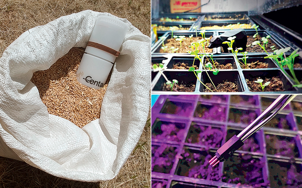 η-ελλάδα-γόνιμο-έδαφος-για-αγροτεχνολ-2286585