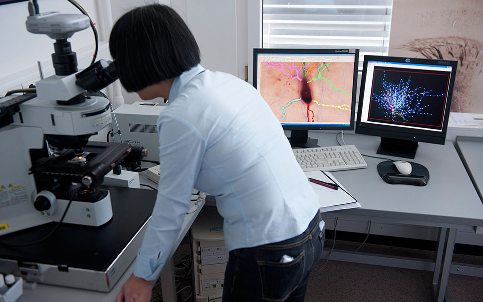 ερευνα-οι-άνθρωποι-θυμούνται-καλύτερ-2283559