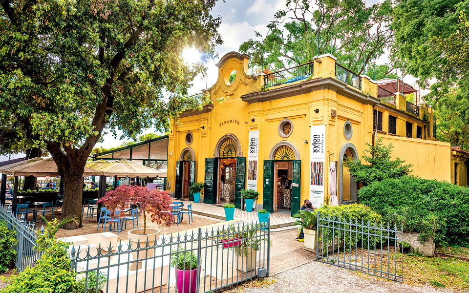 tο-καφέ-του-παραδείσου-2284902