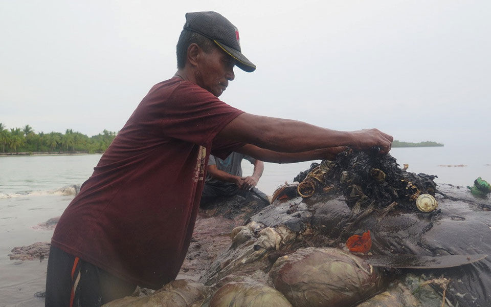 ινδονησία-νεκρή-φάλαινα-με-115-ποτήρια-κ-2284635