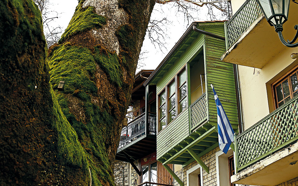 ανδρίτσαινα-hλεία-ήρεμη-δύναμη-2286404