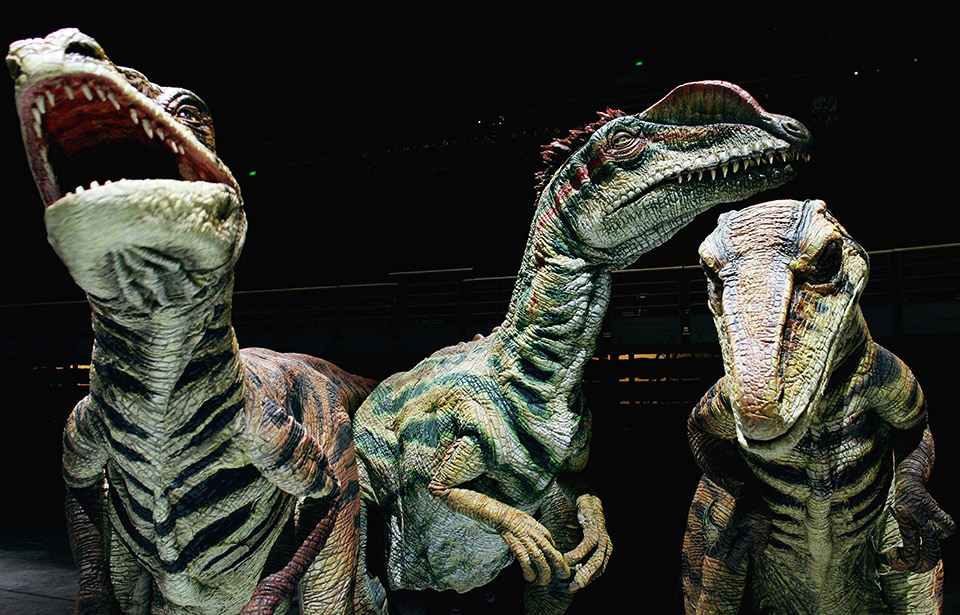 times-τα-χρωματιστά-αυγά-προέρχονται-απ-2281358