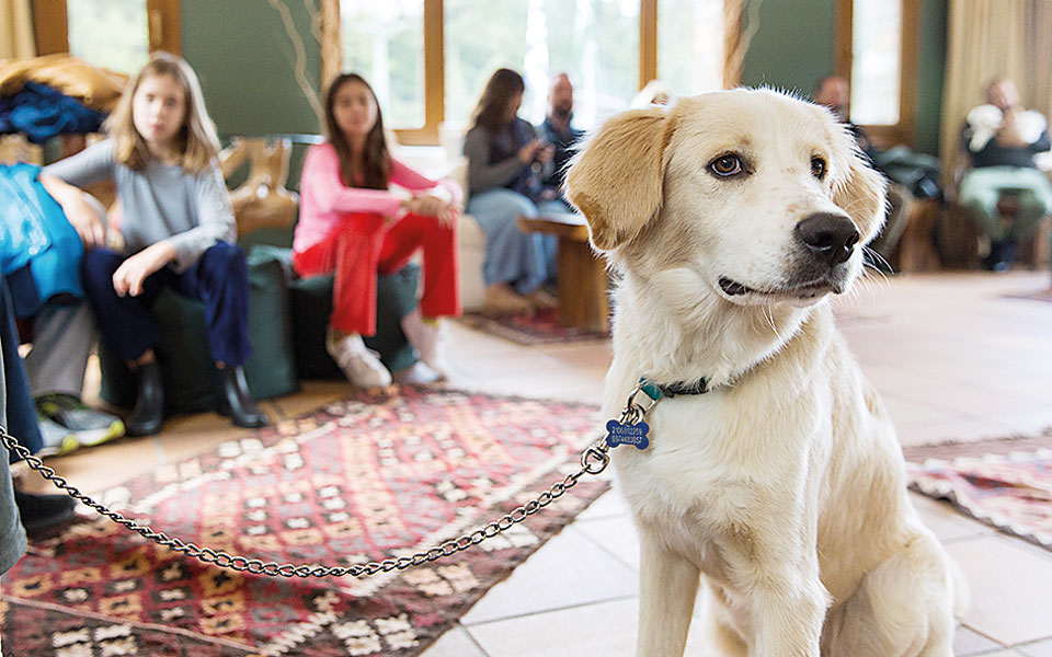 βόλτα-στο-βούνο-2285746
