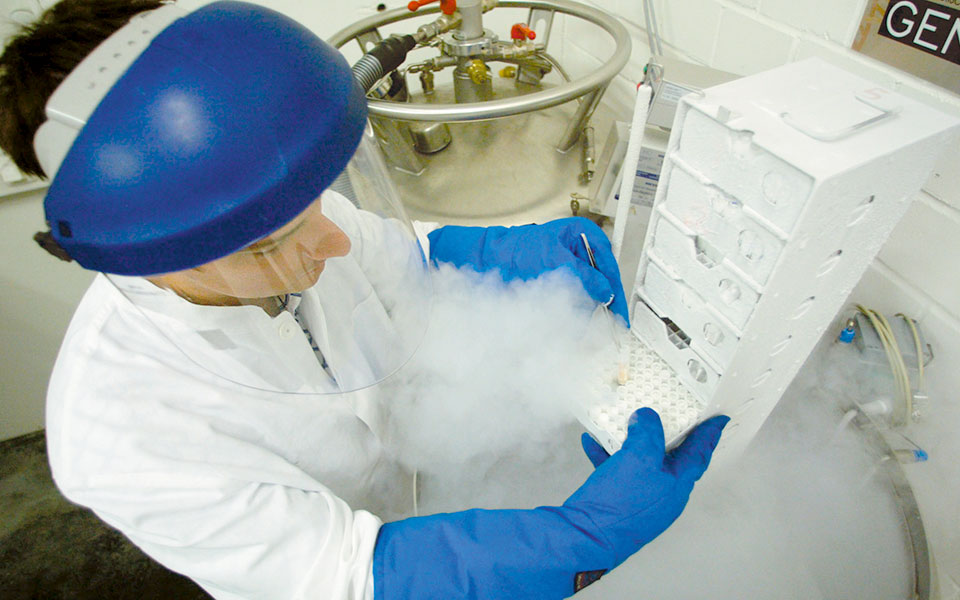 ηπα-για-πρώτη-φορά-δύο-μητέρες-κυοφόρη-2281767