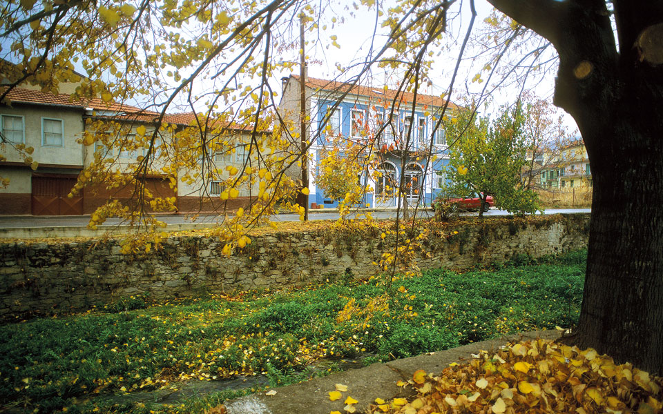 φλώρινα-εμπειρίες-στην-ομίχλη-2285914