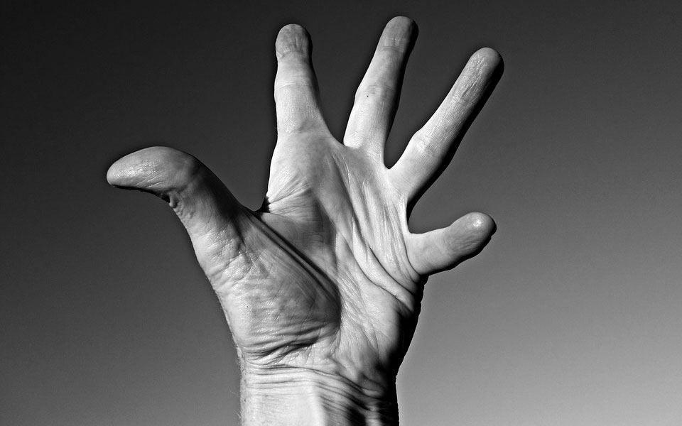 αυτόλογες-μεταμοσχεύσεις-βλαστοκυττ-2283160