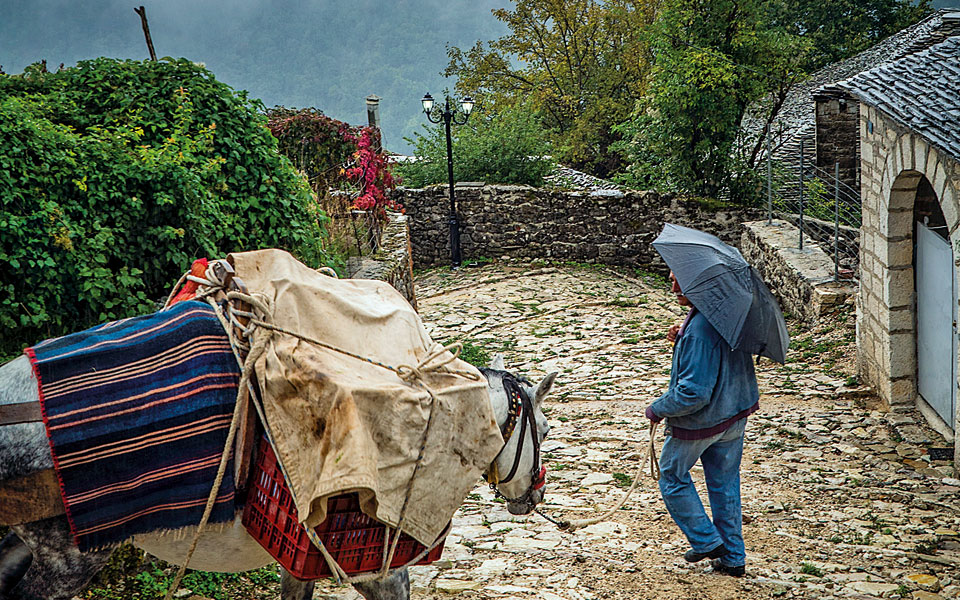 καλαρρύτες-ιωάννινα-μια-φωλιά-από-πέτ-2286337