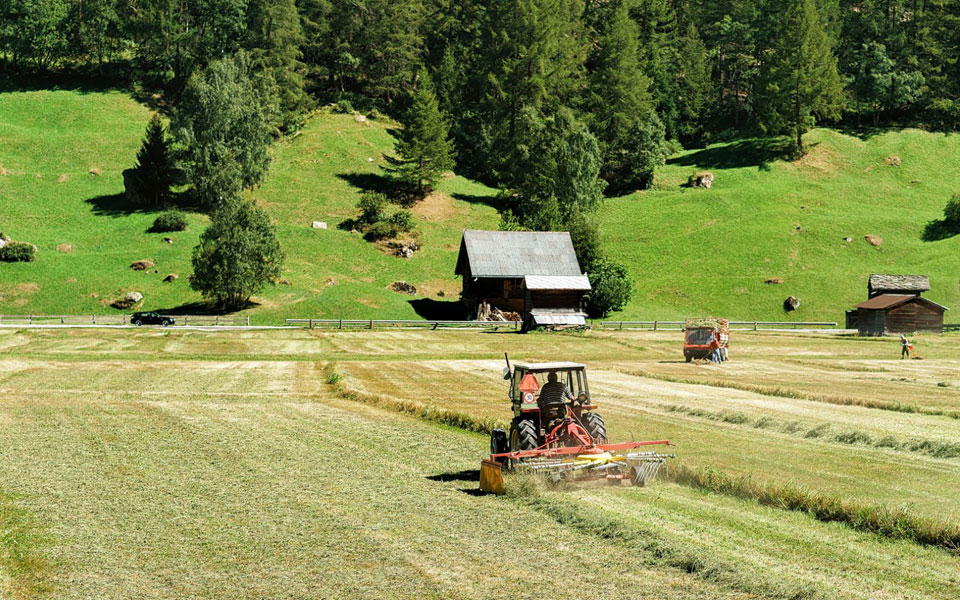 βιομηχανίες-μικροί-παραγωγοί-σημειώ-2282097