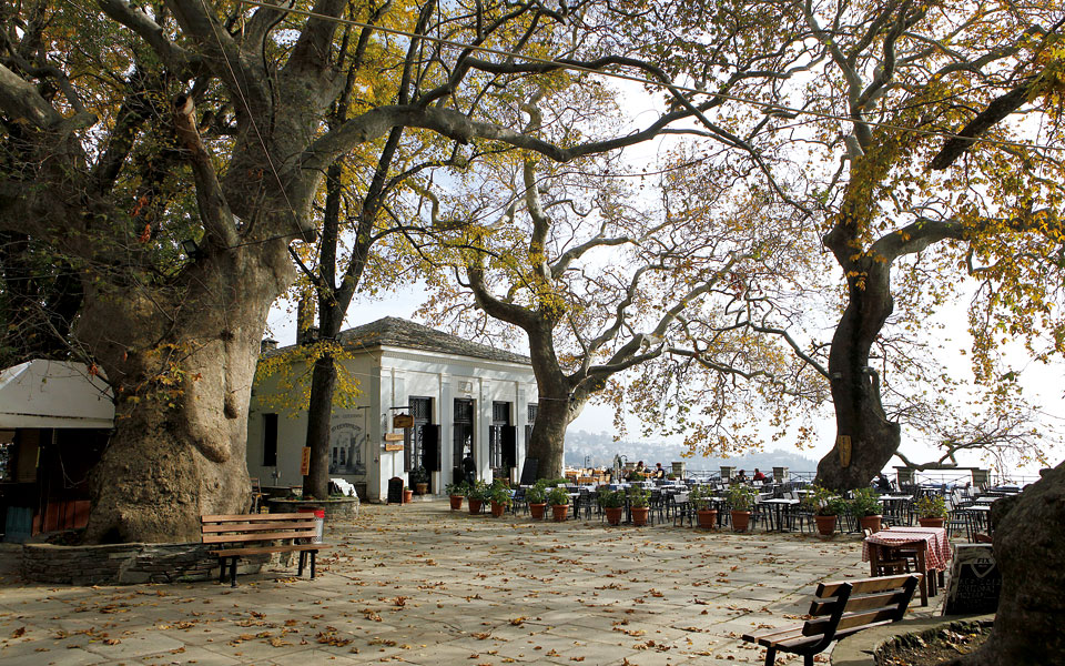 μακρινίτσα-μαγνησία-κλασική-αξία-2286385