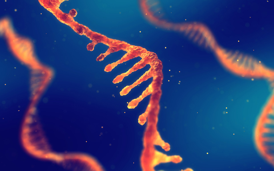 επιστήμονες-ανακάλυψαν-πρωτεϊνη-που-2283463