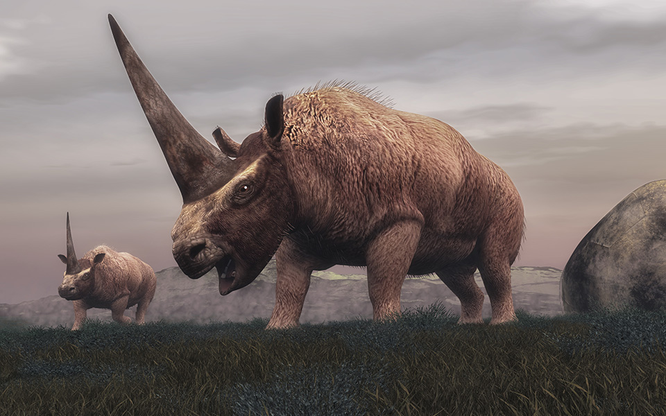 ο-σιβηρικός-μονόκερος-συνυπήρξε-στ-2286054