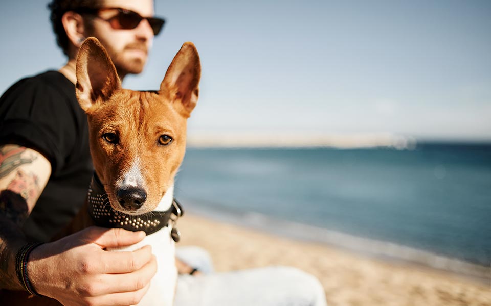 ποιος-είναι-ο-αρχηγός-2282875