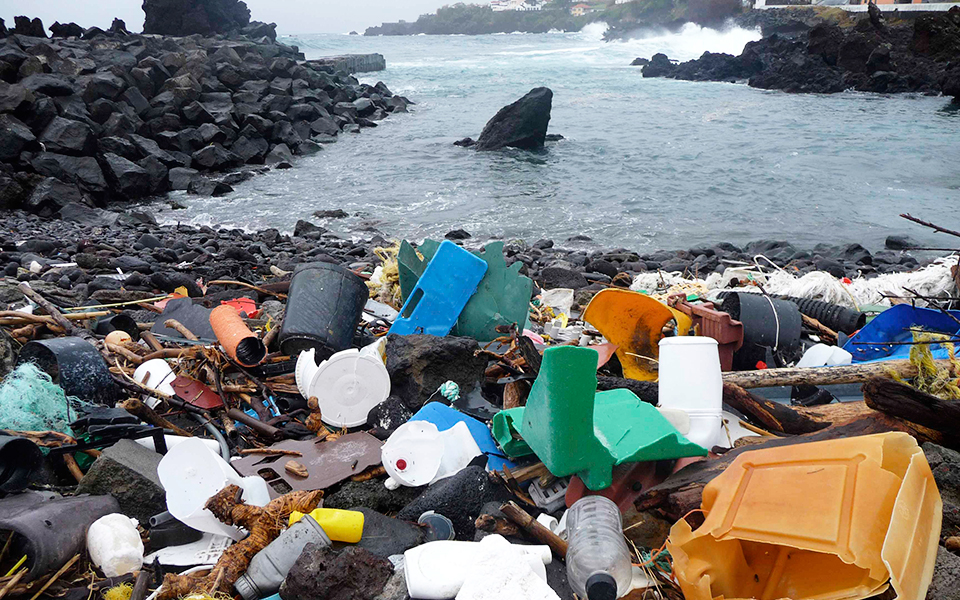 μικροπλαστικά-στο-στομάχι-τους-και-απ-2287959