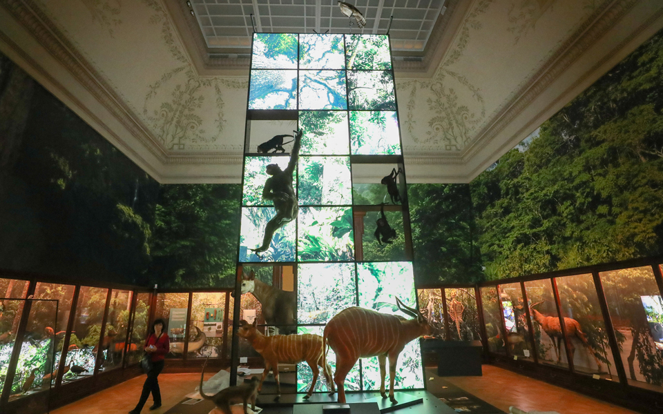 ματιές-στον-κόσμο-2289078