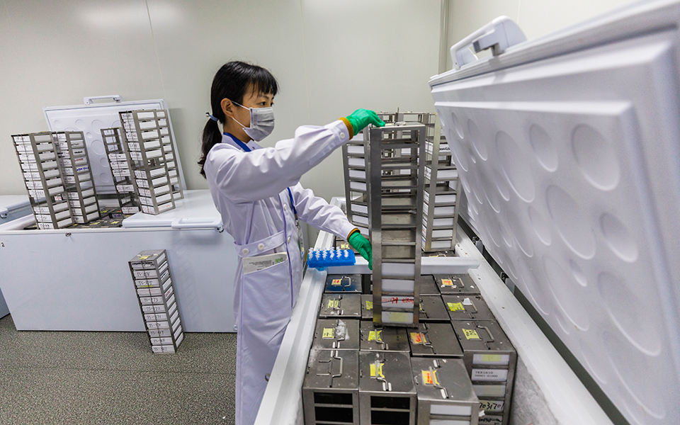 λογισμικό-διαβάζει-το-dna-και-αποκρυπτ-2288884