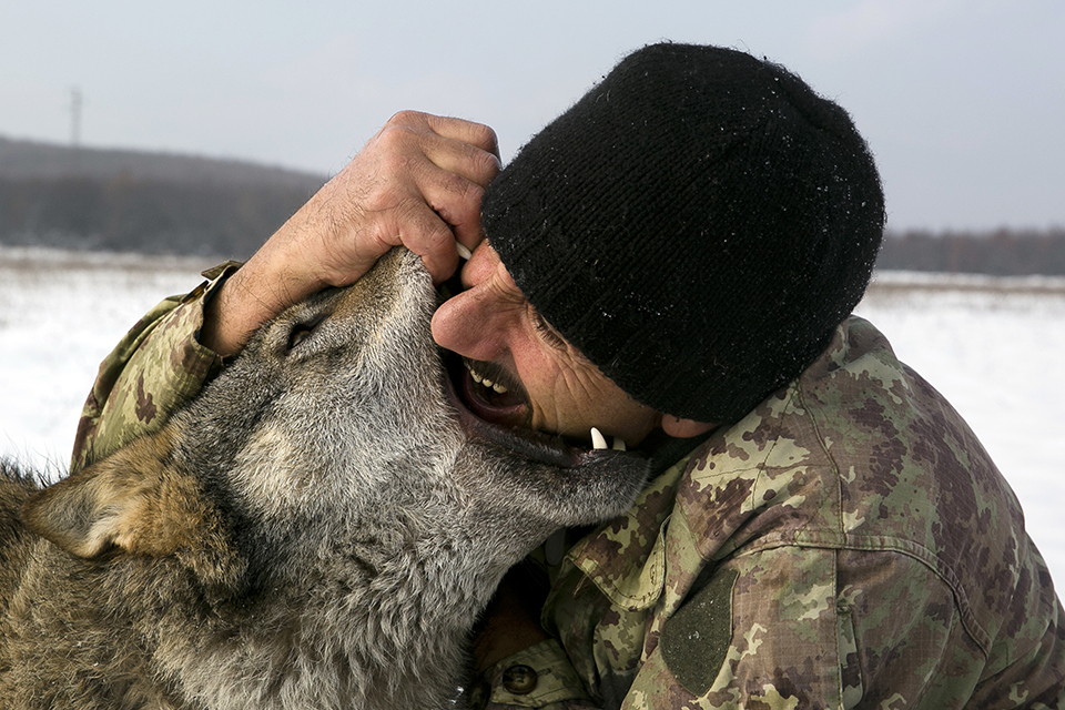 φωτογραφήματα-2290770