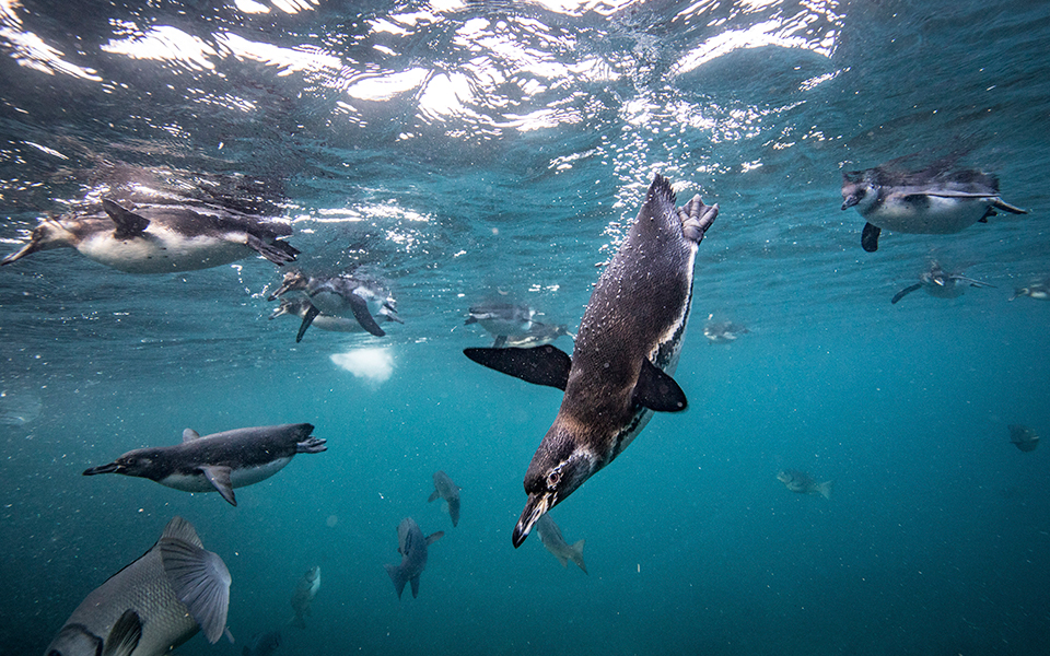 η-κλιματική-αλλαγή-μεταμόρφωσε-τα-γ-2290125