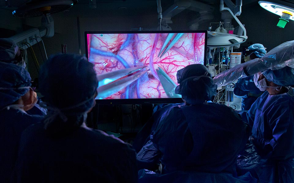 μανιφέστο-για-έναν-νέο-διαφωτισμό-2290397