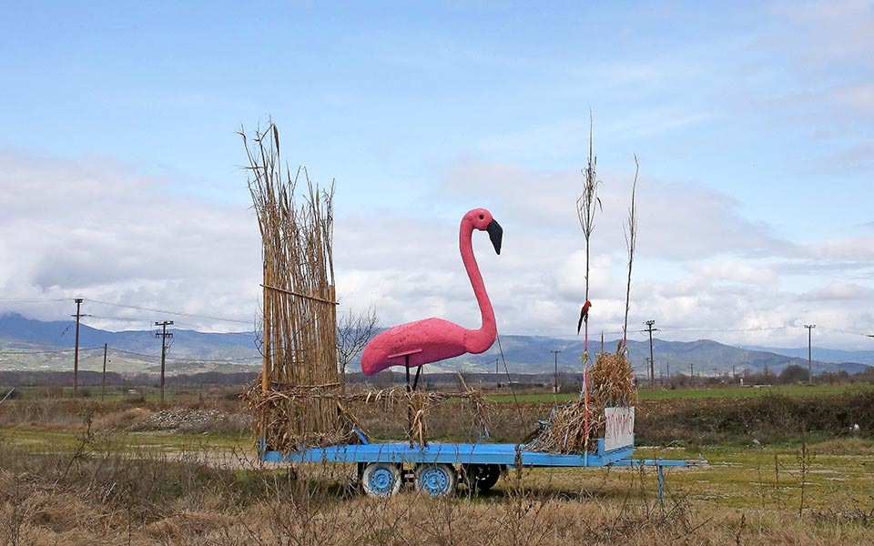 γ-σκαμπαρδώνης-κάρο-αμίγκο-φλαμίγκο-2291035