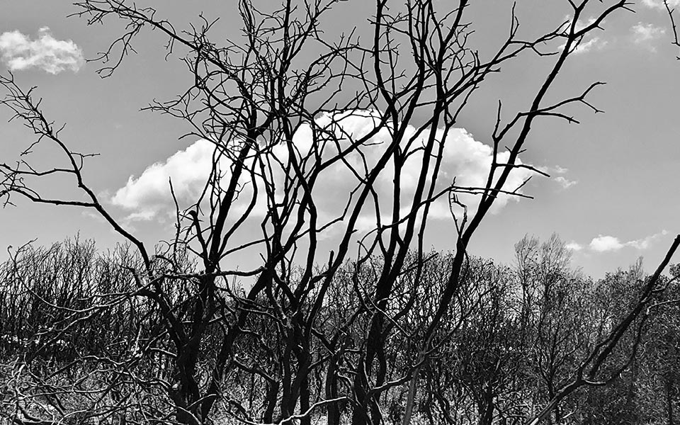 κ-κατσουλάρης-αυτοί-που-σιωπούν-σκέφτ-2291248