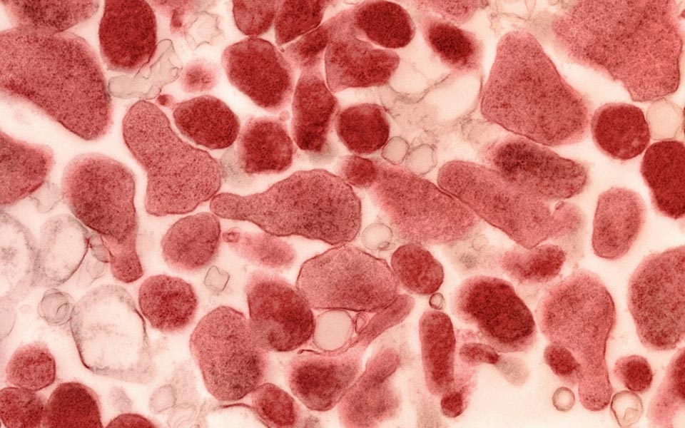 τα-μυστικά-του-πλανήτη-αποκαλύπτον-2288299