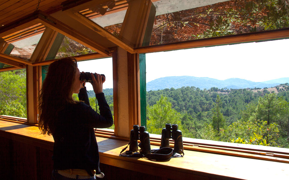 δέλτα-έβρου-σουφλί-βιότοποι-του-βορ-2288245