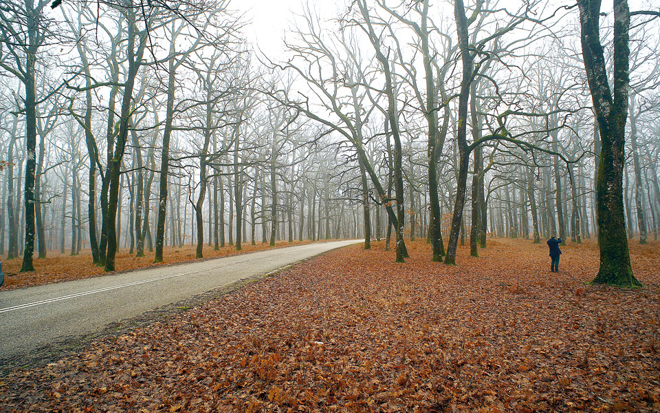 εκδρομές-για-να-βρεις-τον-εαυτό-σου-2287406
