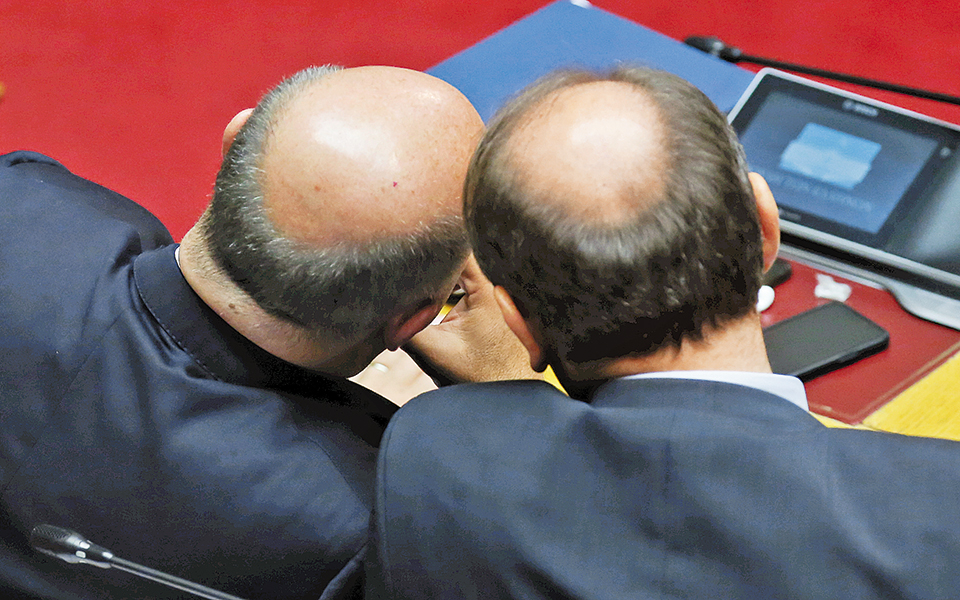 σωματώδης-μπρακέλ-ή-φουντωτή-των-αρδε-2289980