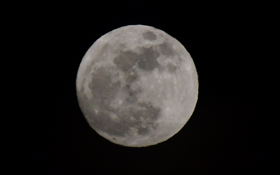 η-κίνα-ένα-βήμα-πριν-την-πρώτη-προσελή-2291581