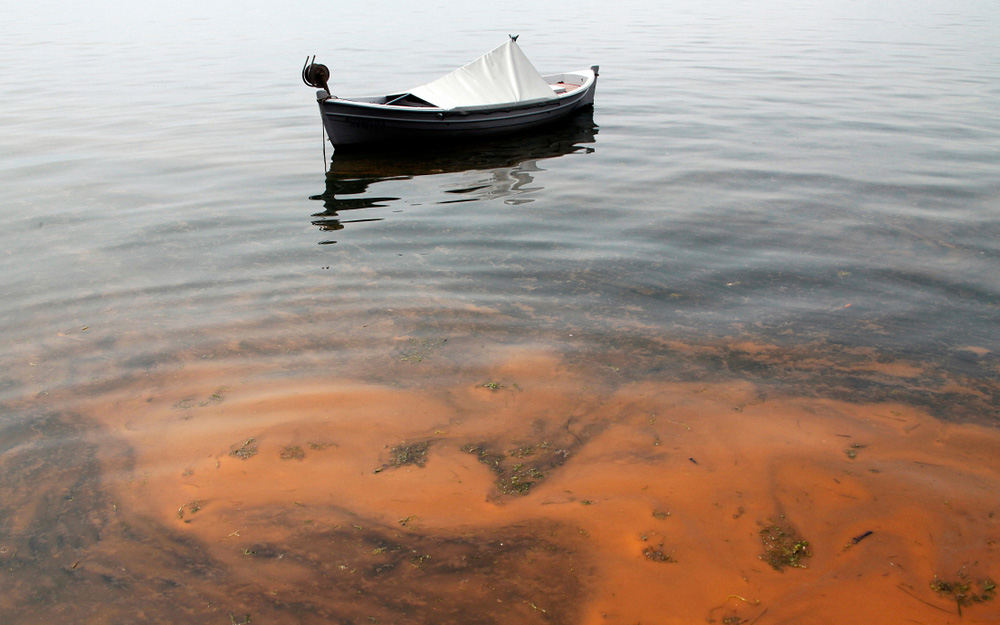 εννέα-στους-δέκα-ελληνες-ανησυχούν-γι-2288887
