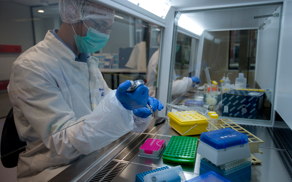 μπαμπουίνοι-έζησαν-για-πάνω-από-6-μήνες-2287495