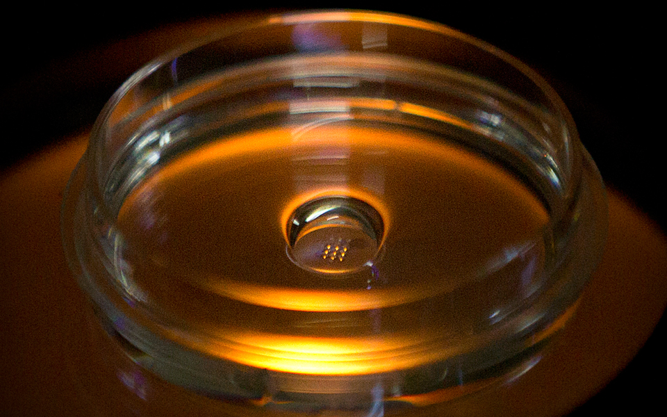 σάλος-για-τα-μεταλλαγμένα-μωρά-2286809