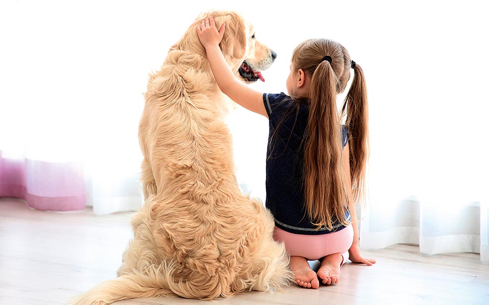 δυο-γάιδαροι-μαλώνανε-2289088