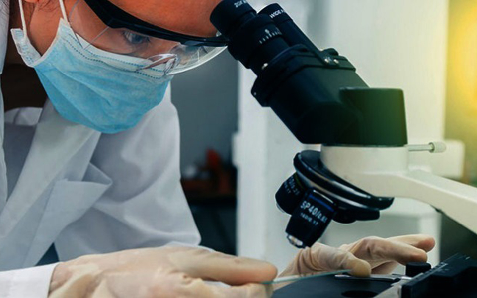 ποιοι-είναι-οι-πιο-συχνοί-κληρονομούμ-2289490