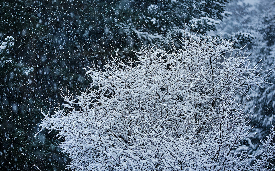 ψυχρή-εισβολή-σε-hπειρο-και-θεσσαλία-2288802