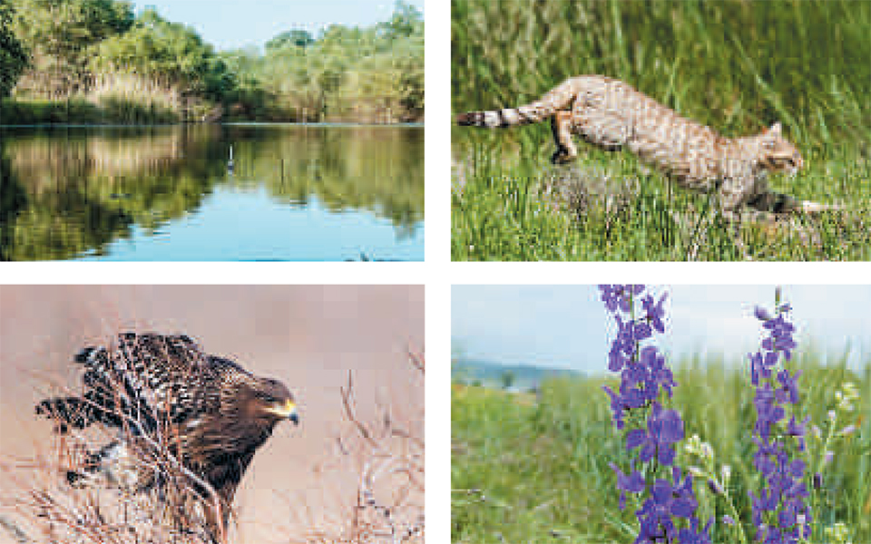 ενας-νόμος-δεν-φέρνει-την-άνοιξη-2292976