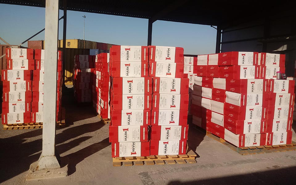 κατασχέθηκαν-10-495-000-λαθραία-τσιγάρα-από-τ-2294593