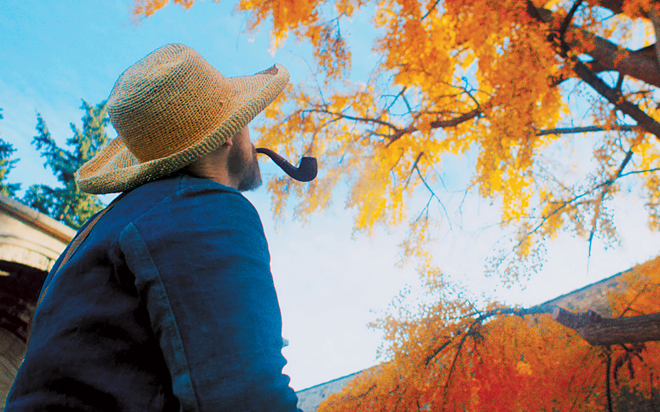 βαν-γκογκ-μισότρελη-ιδιοφυΐα-2294788